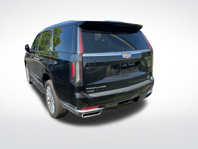2023 Cadillac Escalade Premium Luxury photo 2