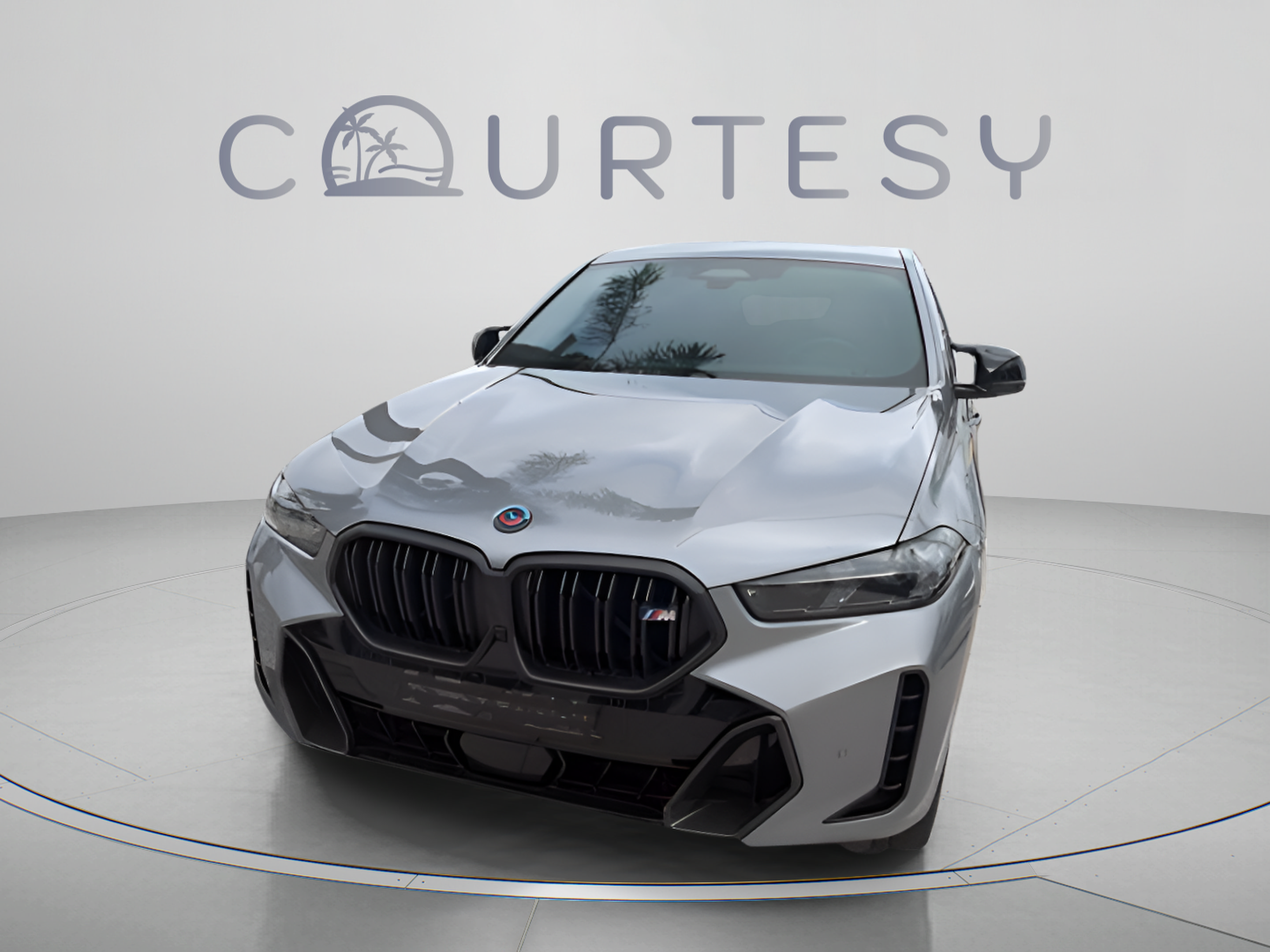 2024 BMW X6