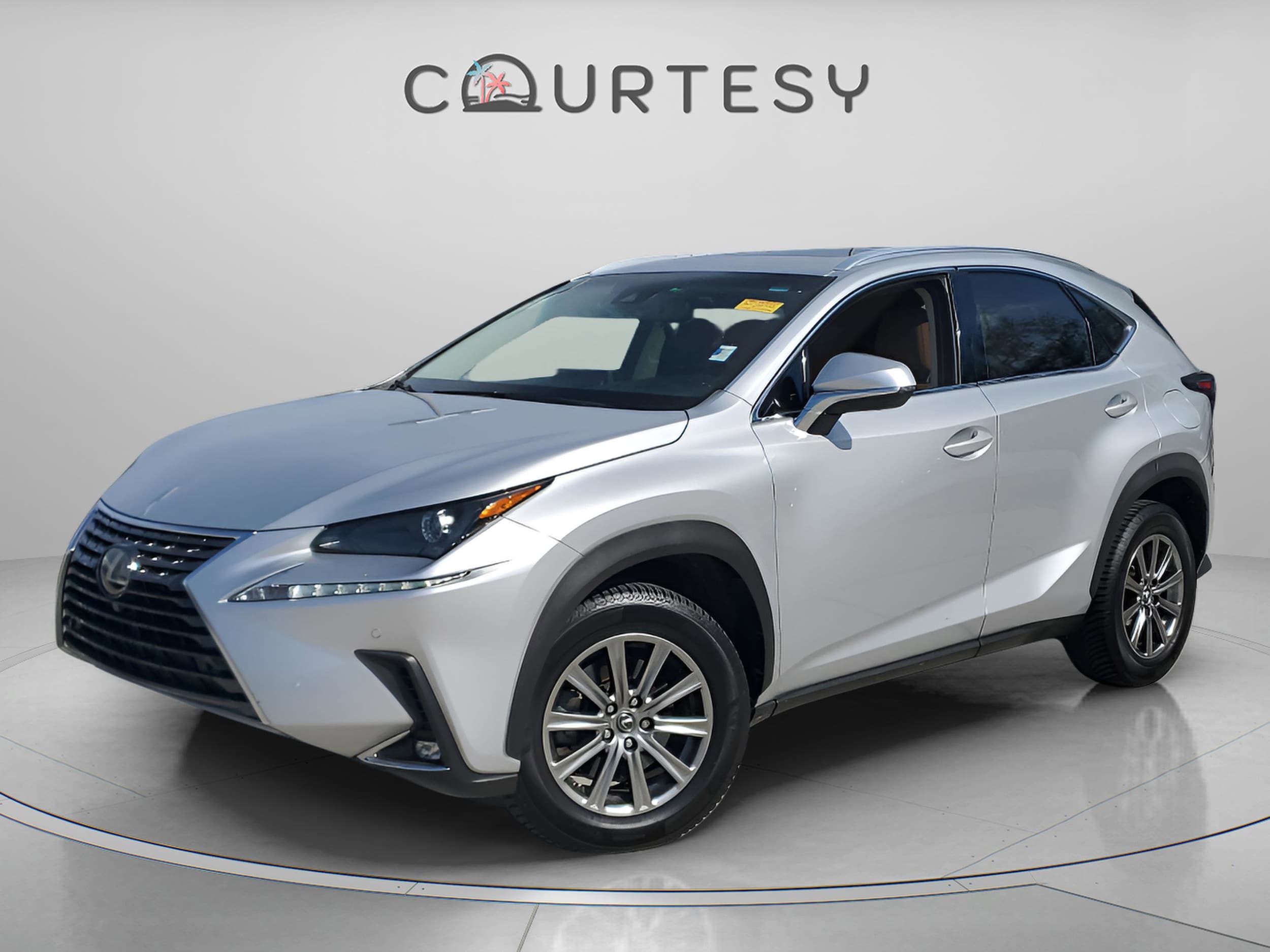 2018 Lexus NX 300's photo