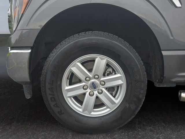 Photo 14