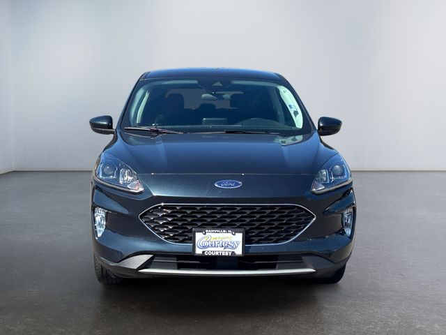 2022 Ford Escape SEL - Photo 8