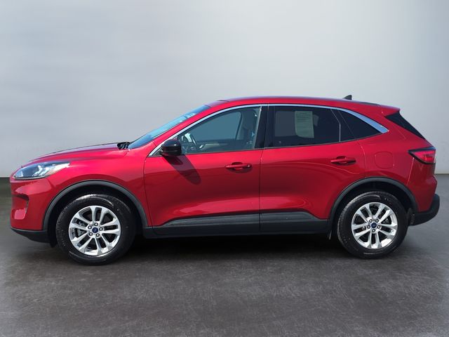 Used 2021 Ford Escape SE with VIN 1FMCU9G69MUA08494 for sale in Danville, IL