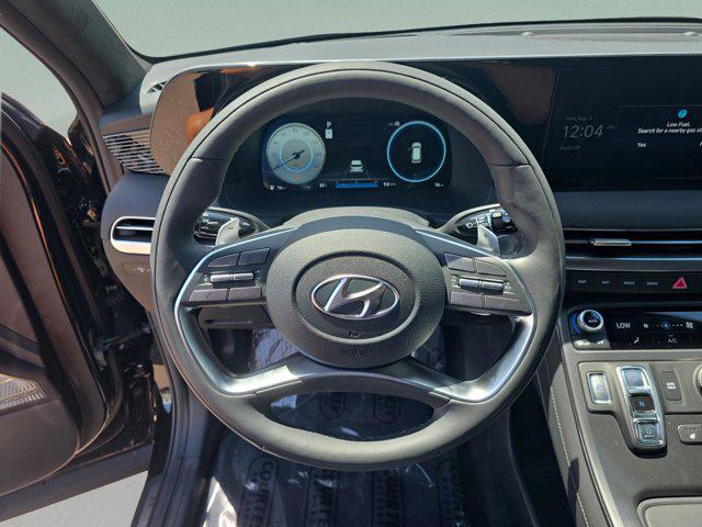 2025 Hyundai Palisade Calligraphy Night Edition - Photo 18