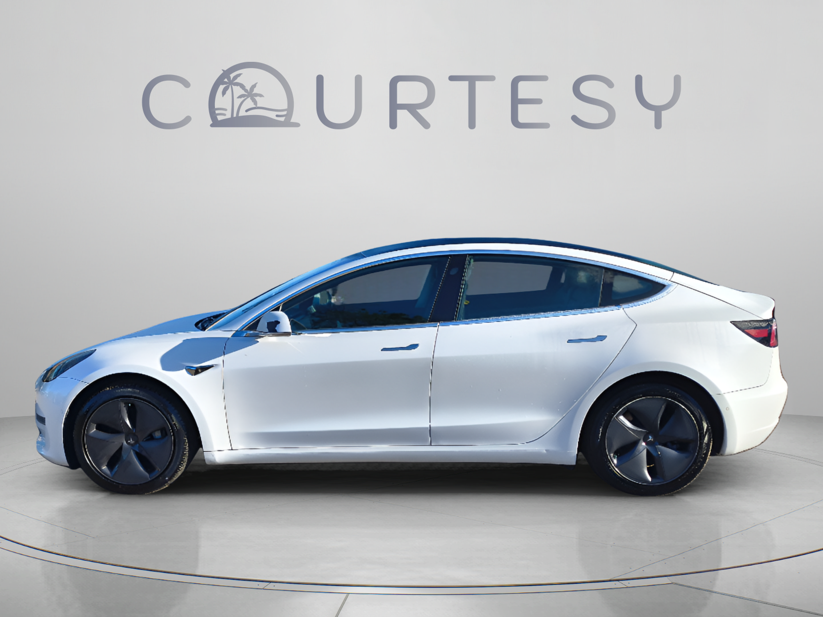 Used 2019 Tesla Model 3 Base with VIN 5YJ3E1EA1KF483251 for sale in Tampa, FL