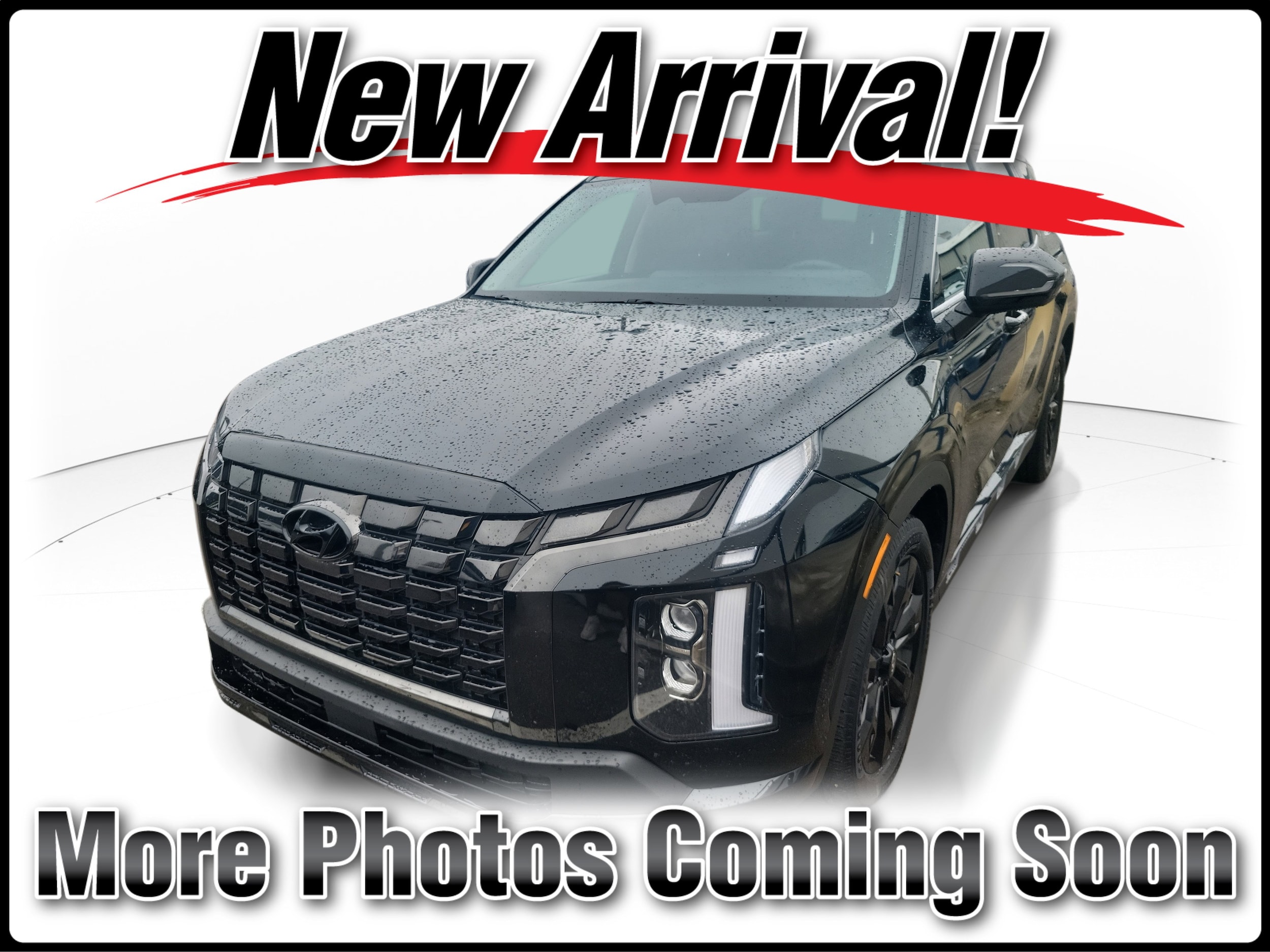 2024 Hyundai Palisade XRT's photo