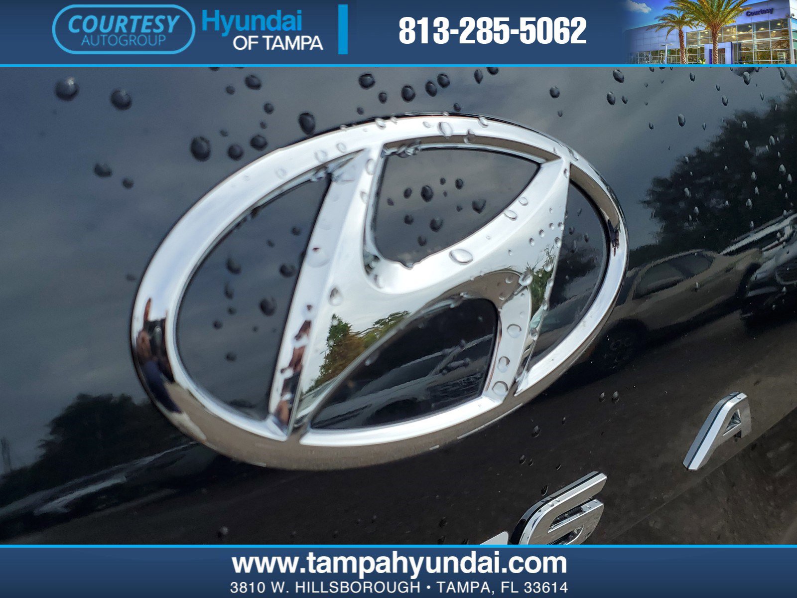 New 2024 Hyundai PALISADE Calligraphy AWD 4D Sport Utility in Tampa  #U686897