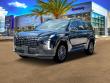 New 2025 Hyundai Palisade Calligraphy Night Edition AWD For Sale