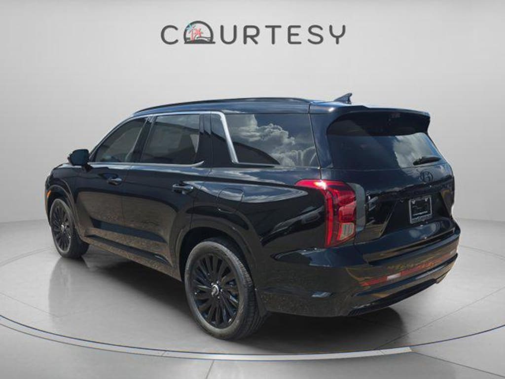 New 2025 Hyundai Palisade Calligraphy Night Edition AWD SUV