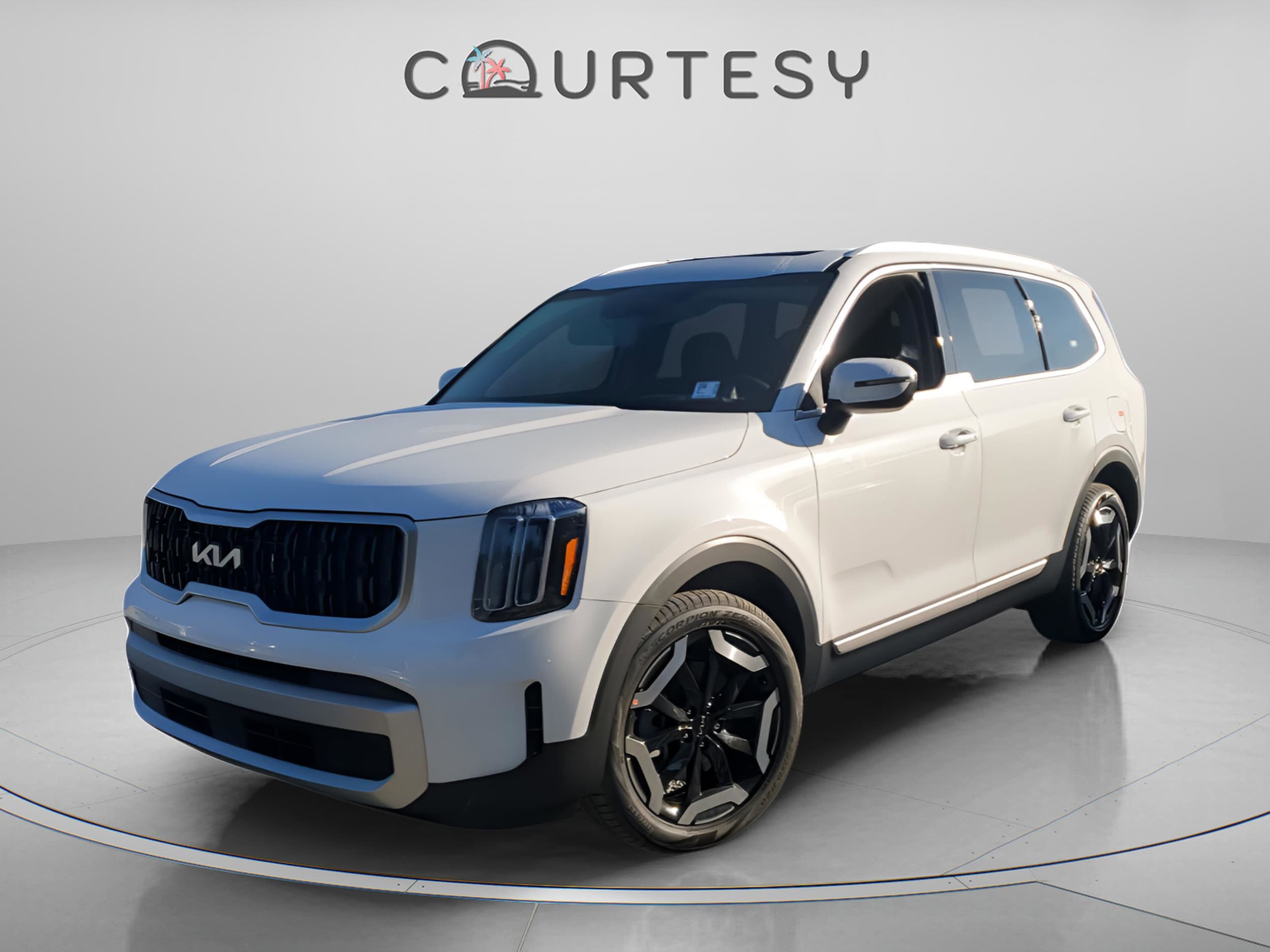 2025 Kia Telluride EX's photo
