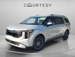  Kia Carnival Hybrid