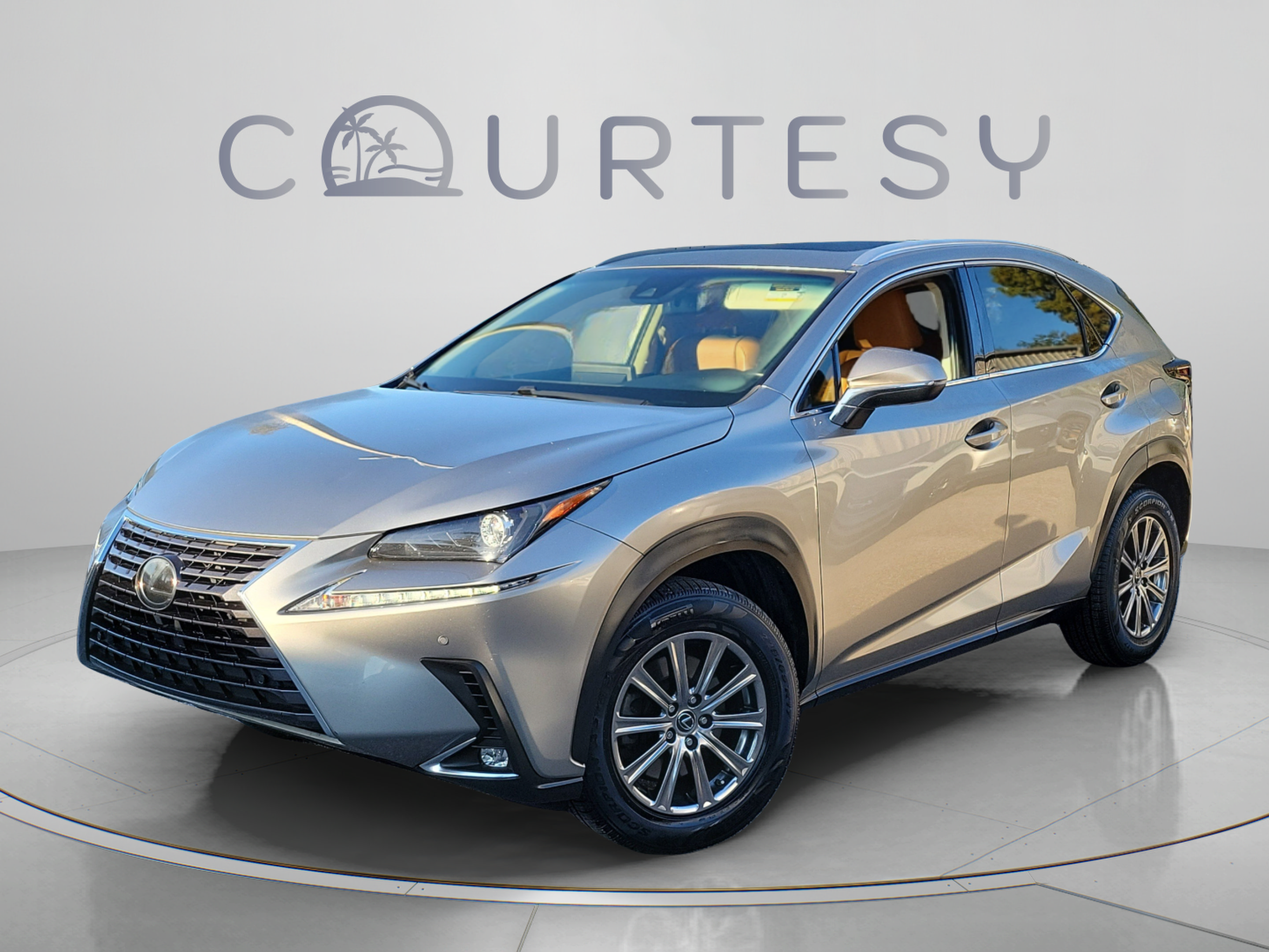 2018 LEXUS NX 300