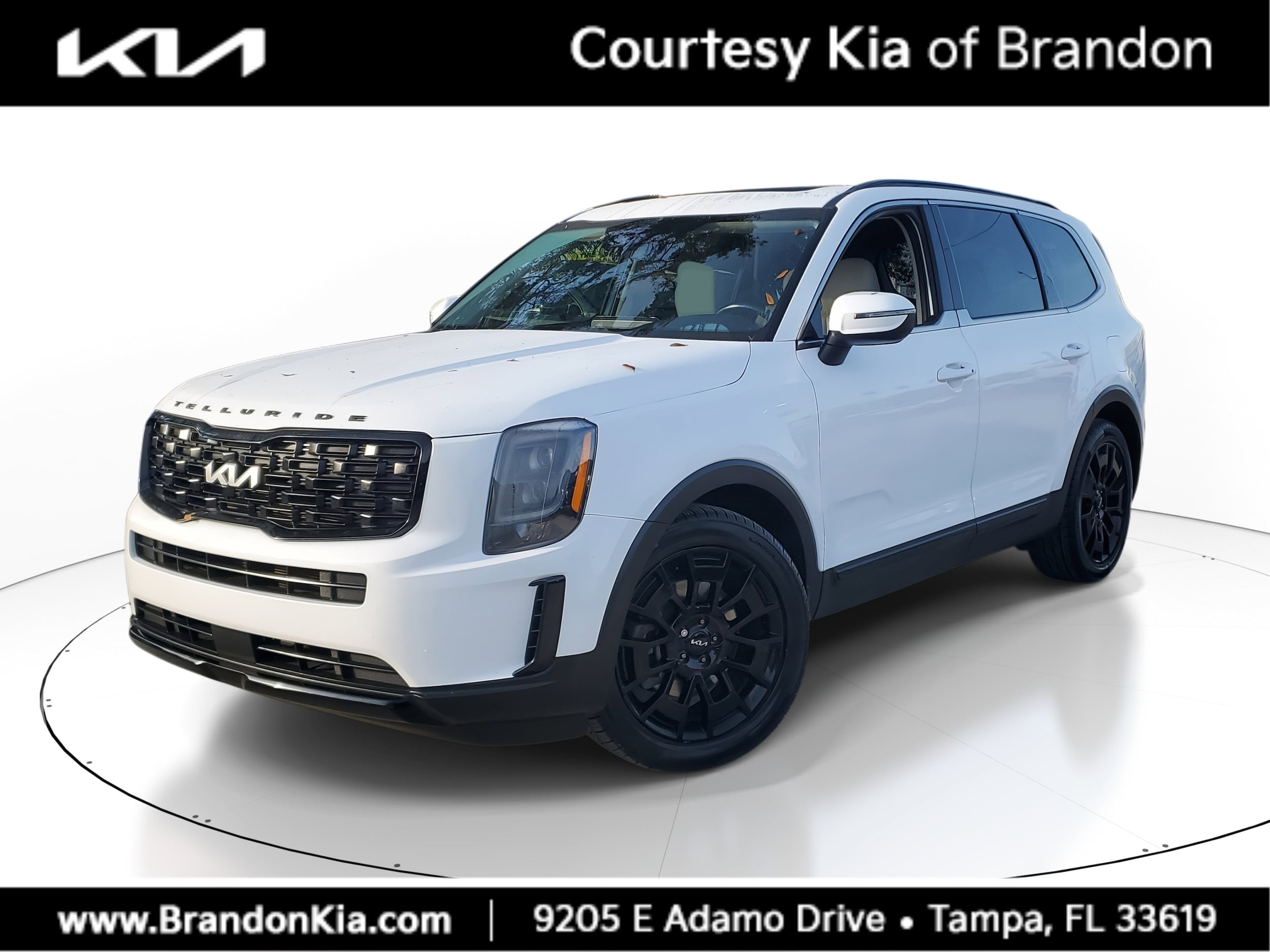 2022 Kia Telluride EX's photo