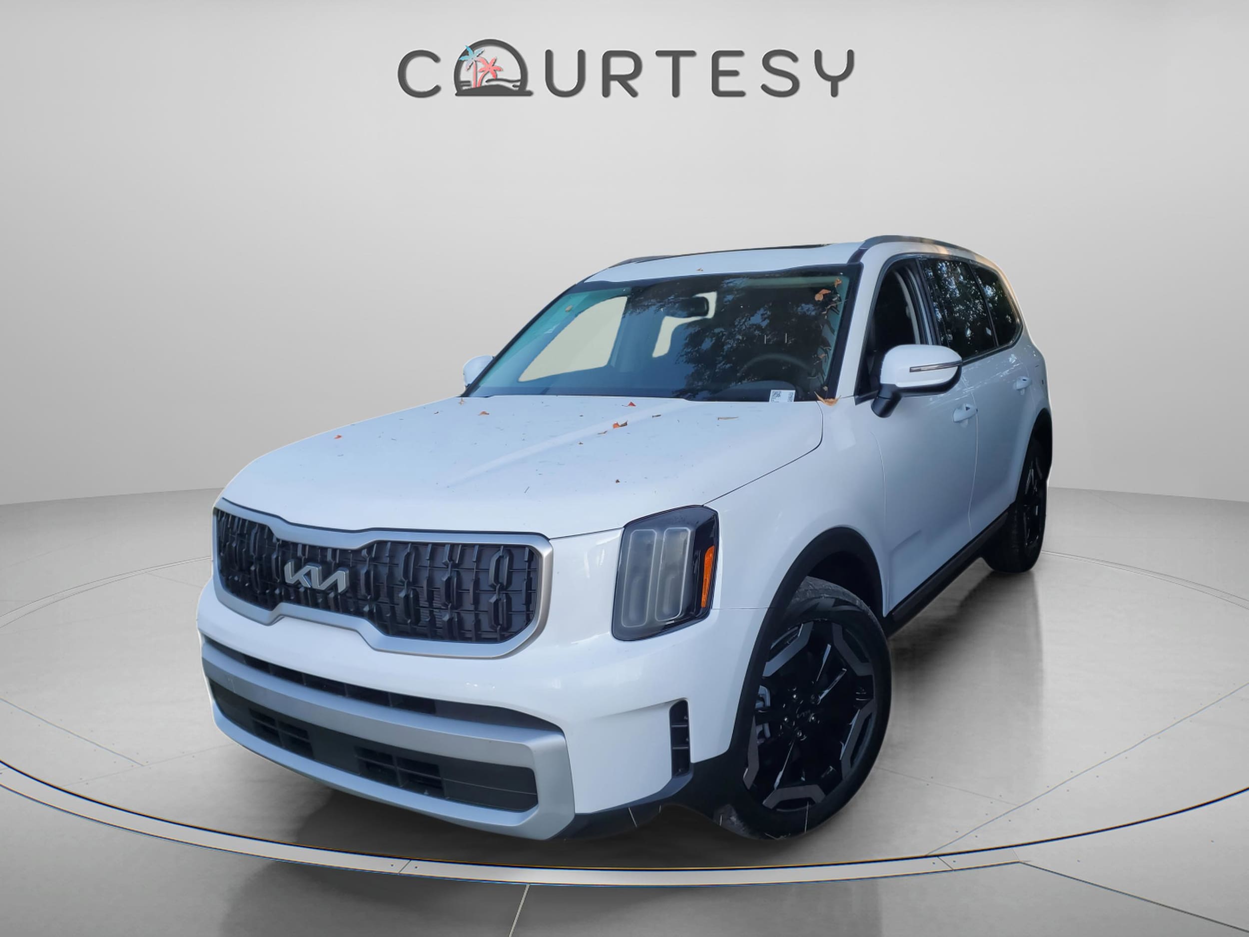 2025 Kia Telluride EX's photo