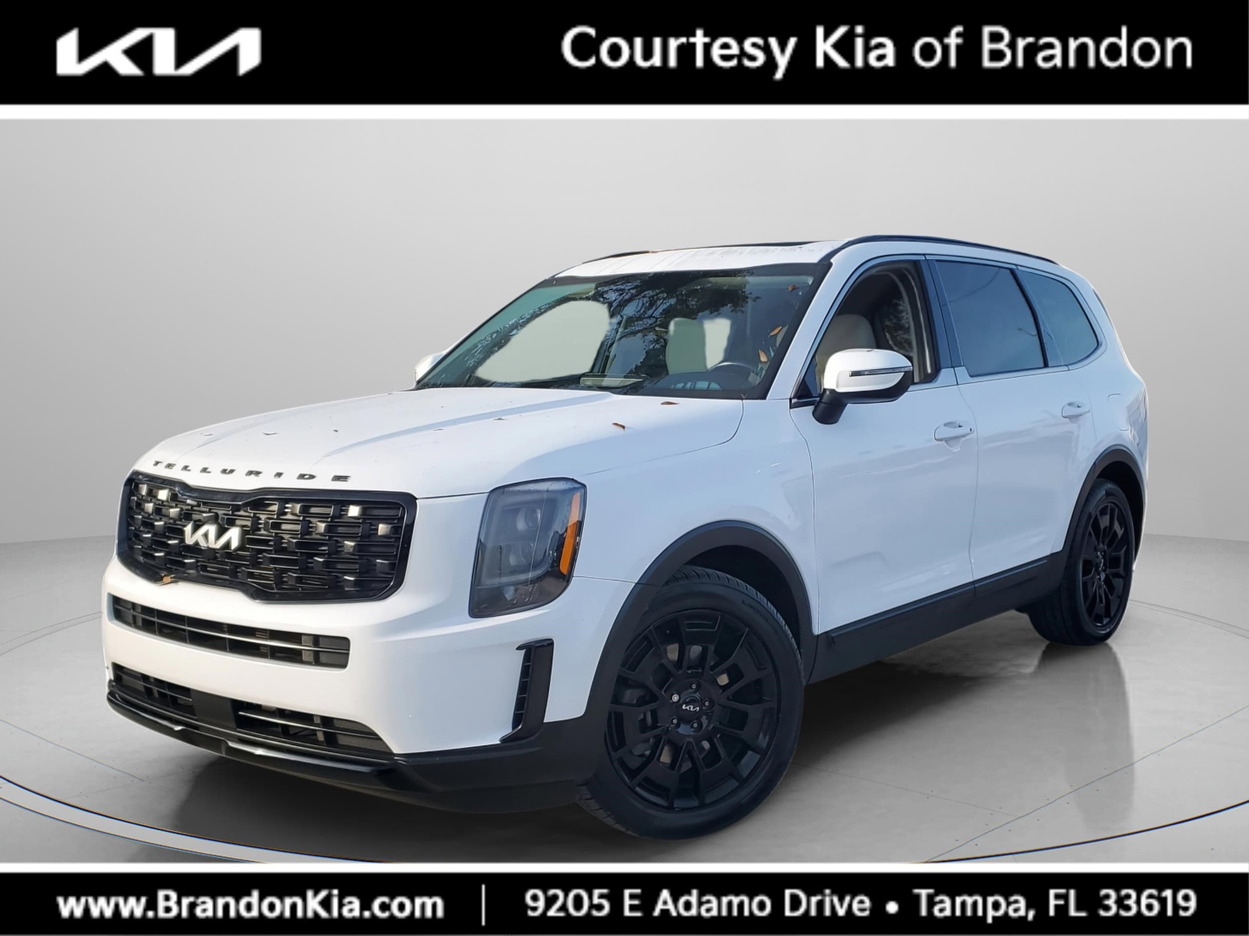 2022 Kia Telluride EX's photo