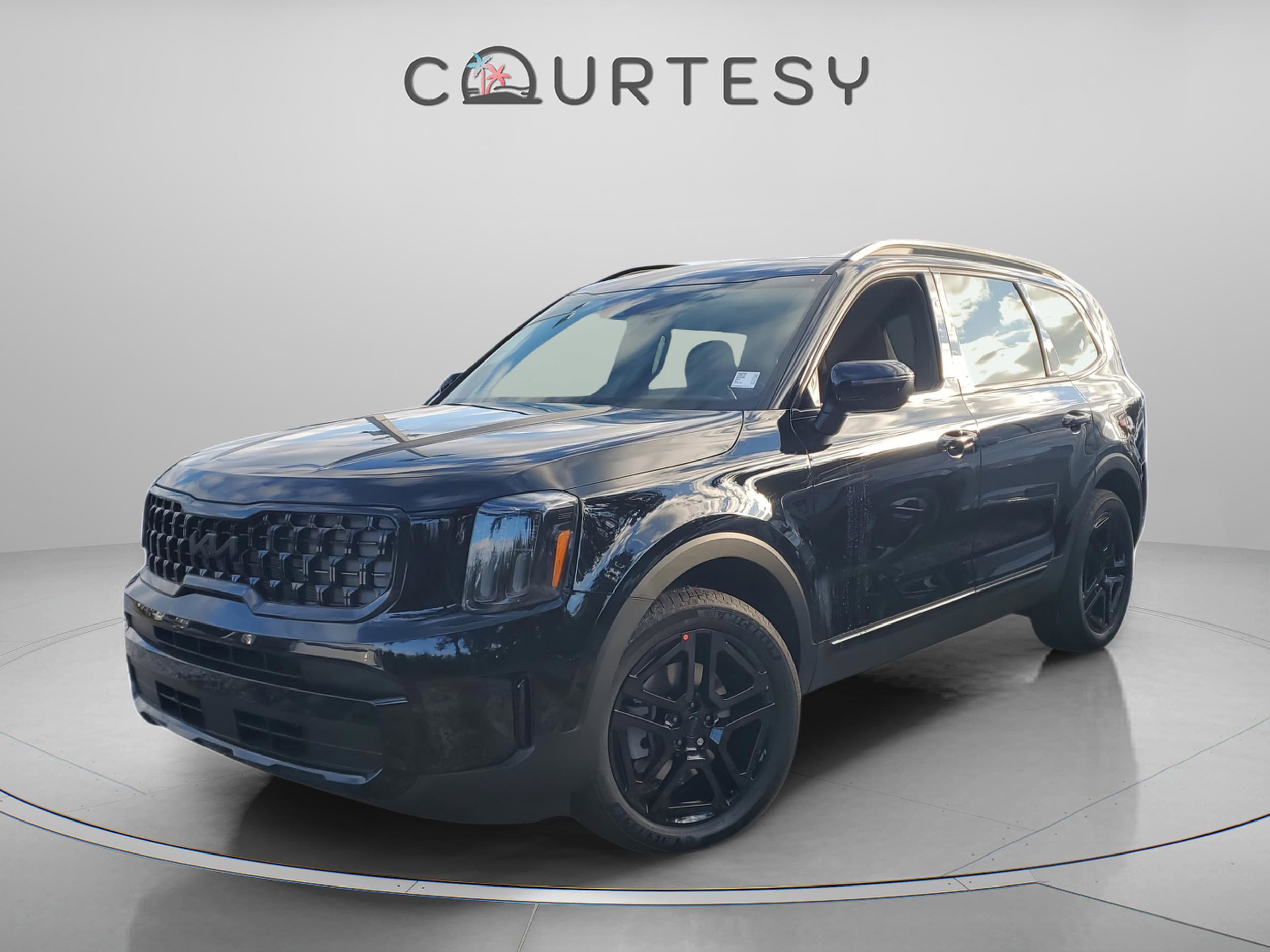 2025 Kia Telluride EX X-Line's photo