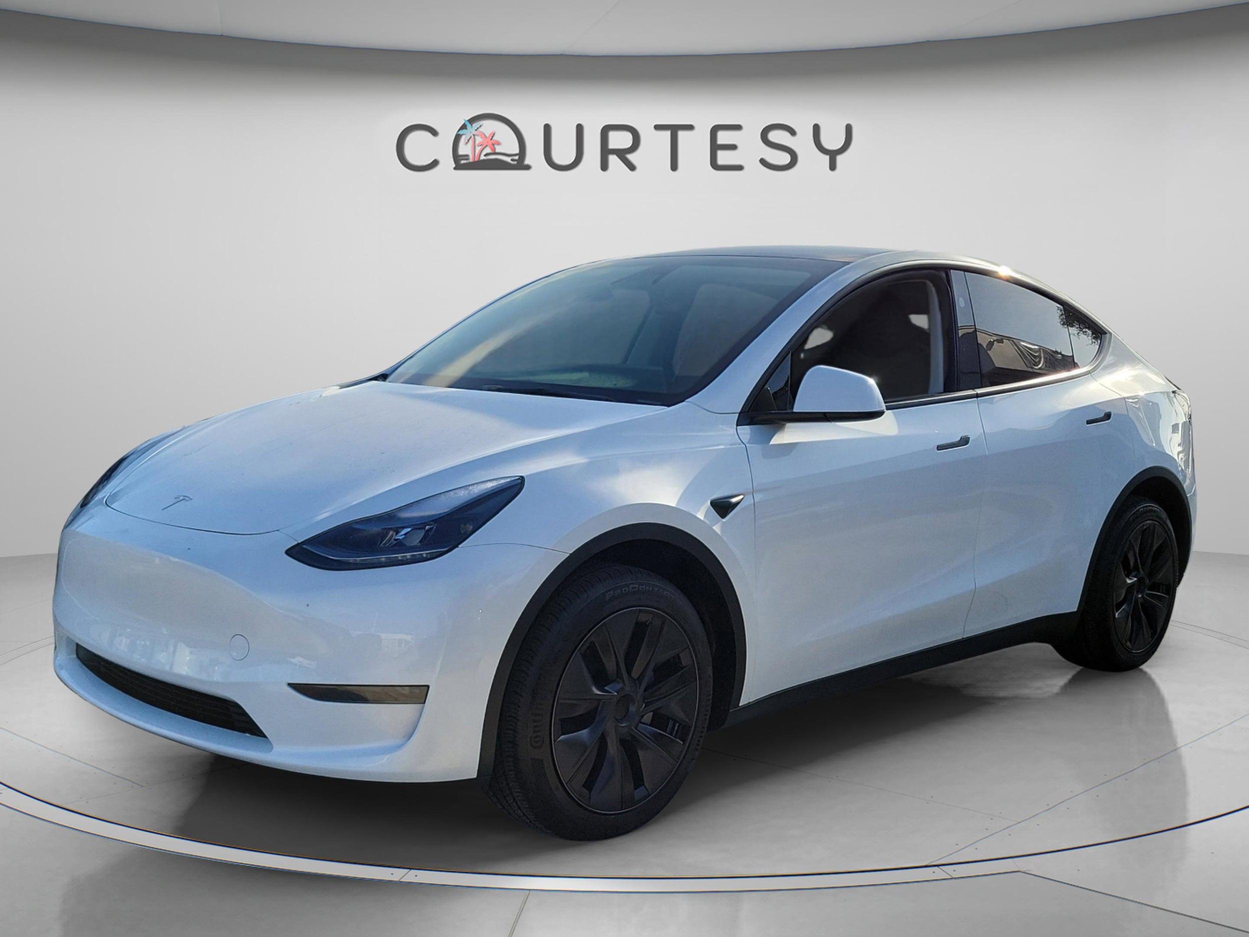2025 Tesla Model Y Long Range Rear Wheel Drive's photo