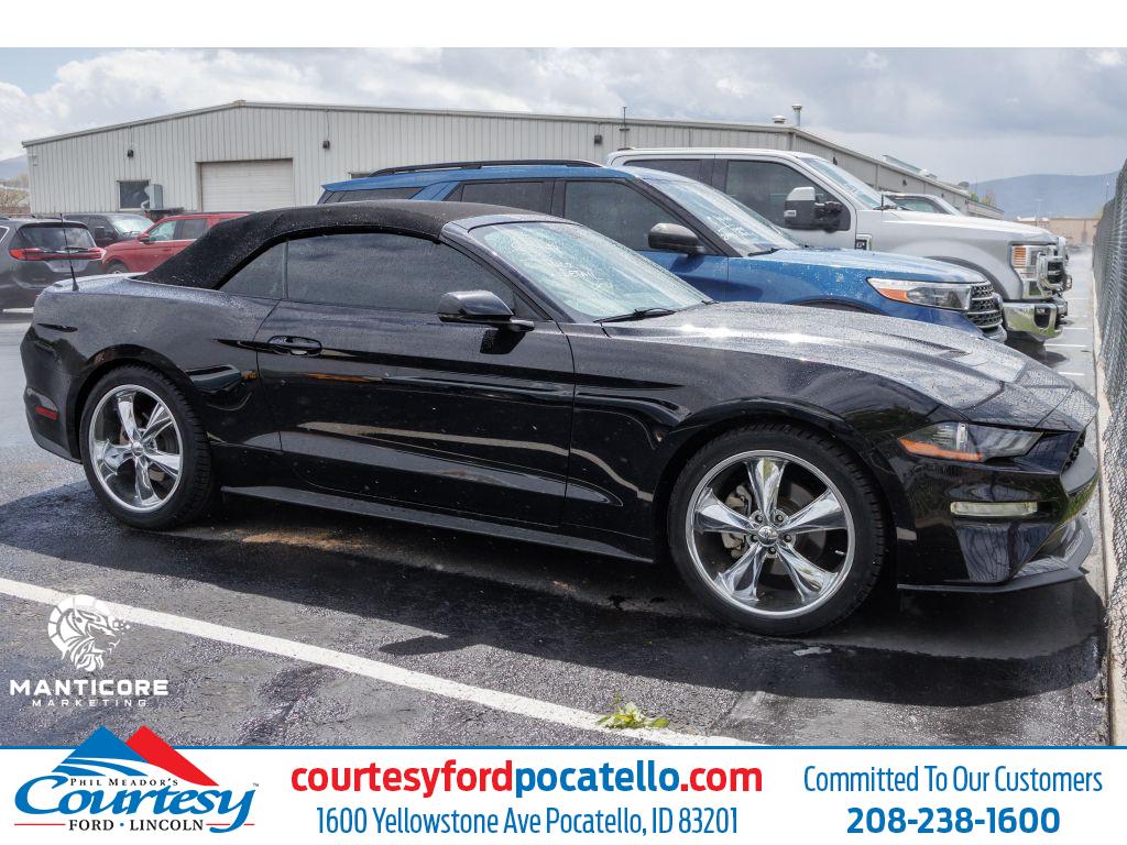 2020 Ford Mustang EcoBoost Premium Convertible's photo