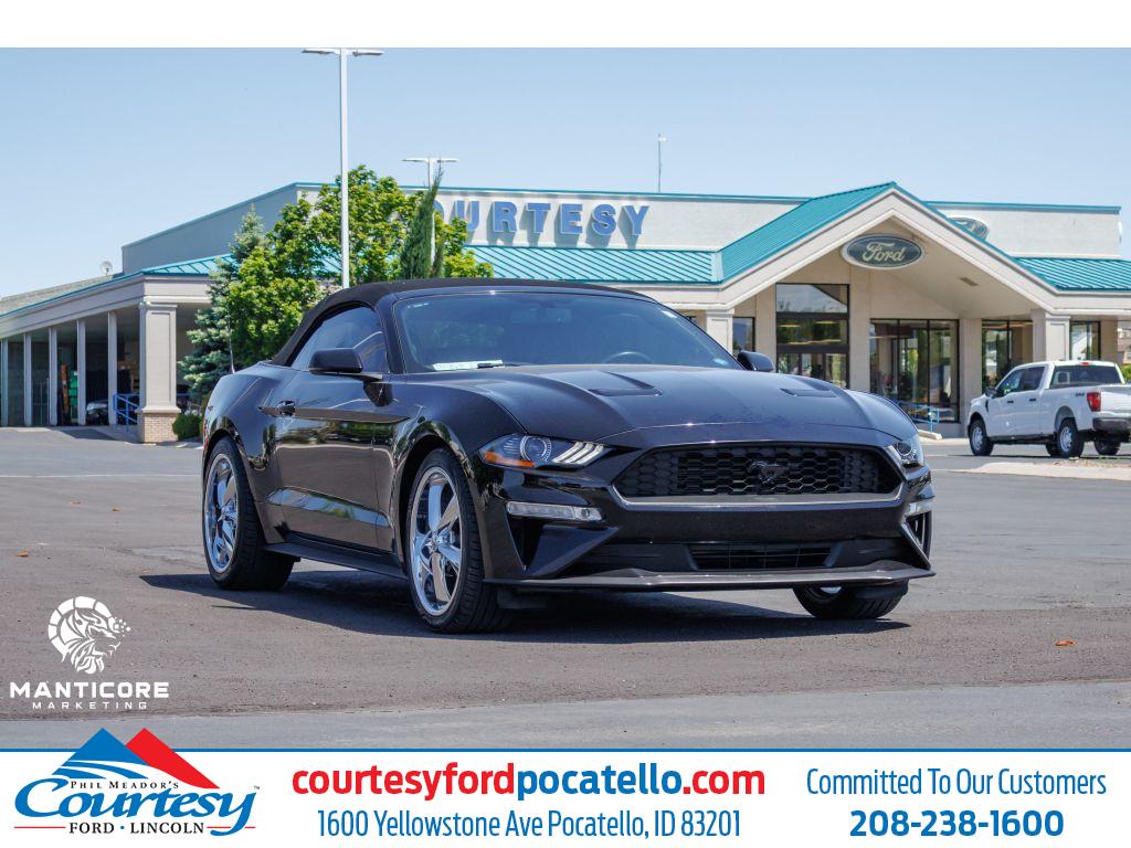 2020 Ford Mustang EcoBoost Premium Convertible's photo