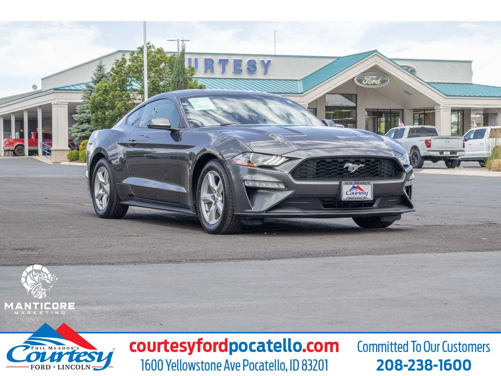 2019 Ford Mustang