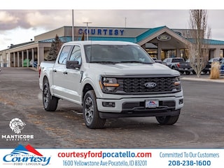 2025 Ford F-150 STX Cab; Super Crew