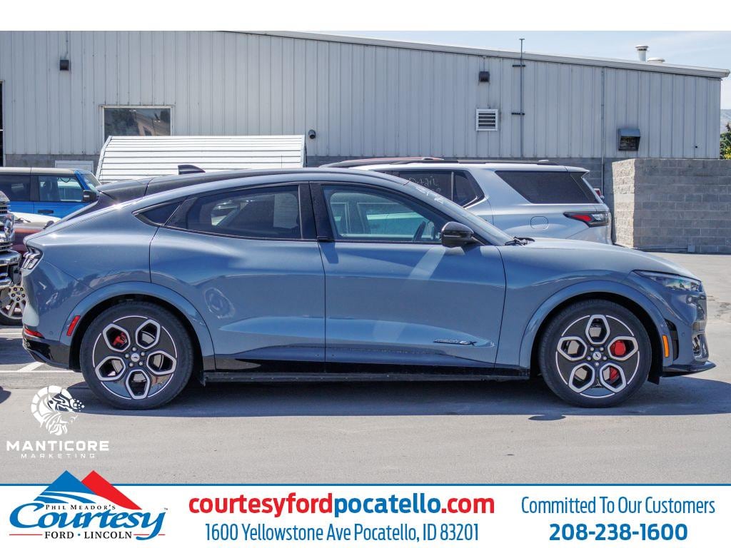 2023 Ford Mustang-Mach-e GT's photo