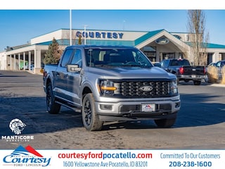2025 Ford F-150 STX Cab; Super Crew