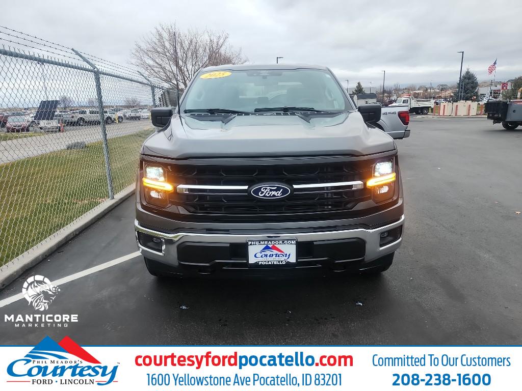 2025 Ford F-150 XLT's photo