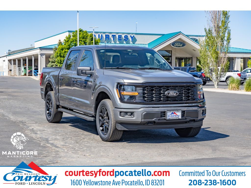 2025 Ford F-150 STX
