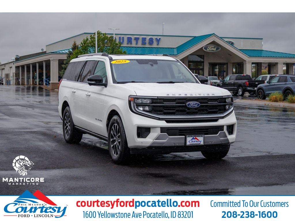 2025 Ford Expedition Platinum MAX 4x4's photo