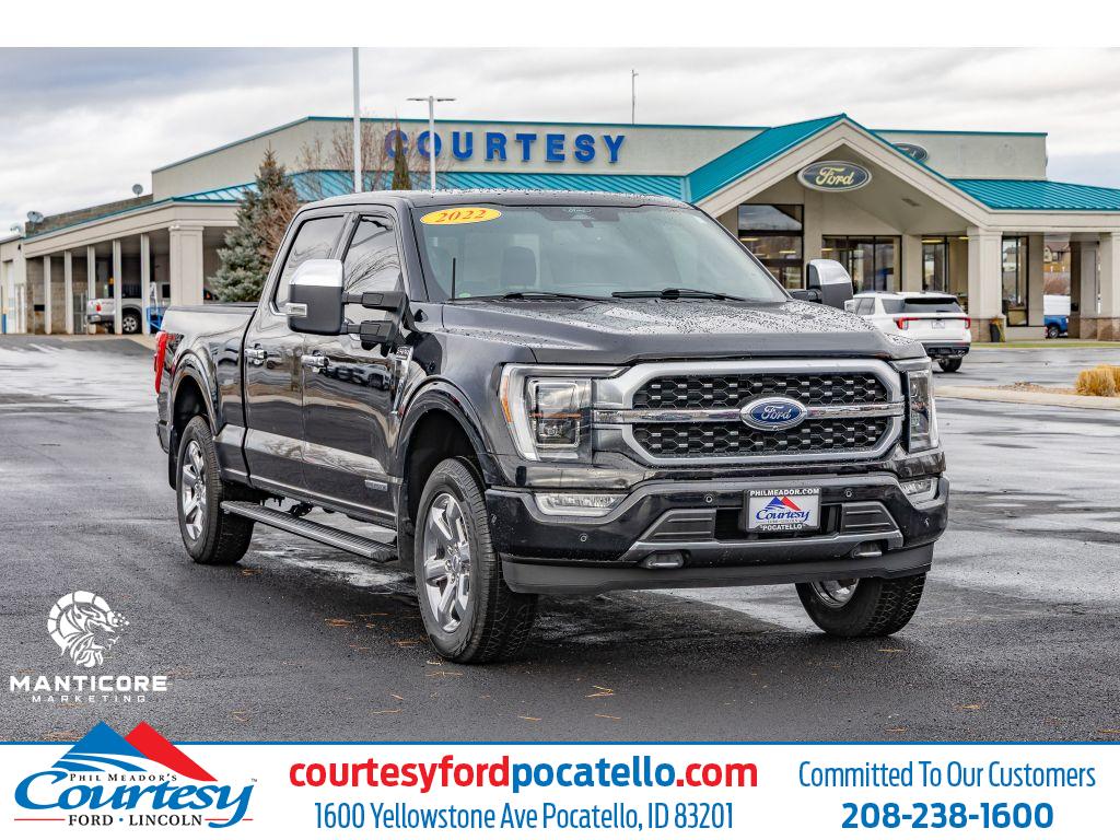 2022 Ford F-150 Platinum's photo