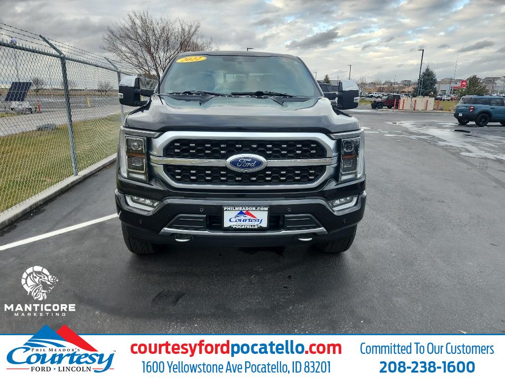 2022 Ford F-150 Platinum's photo