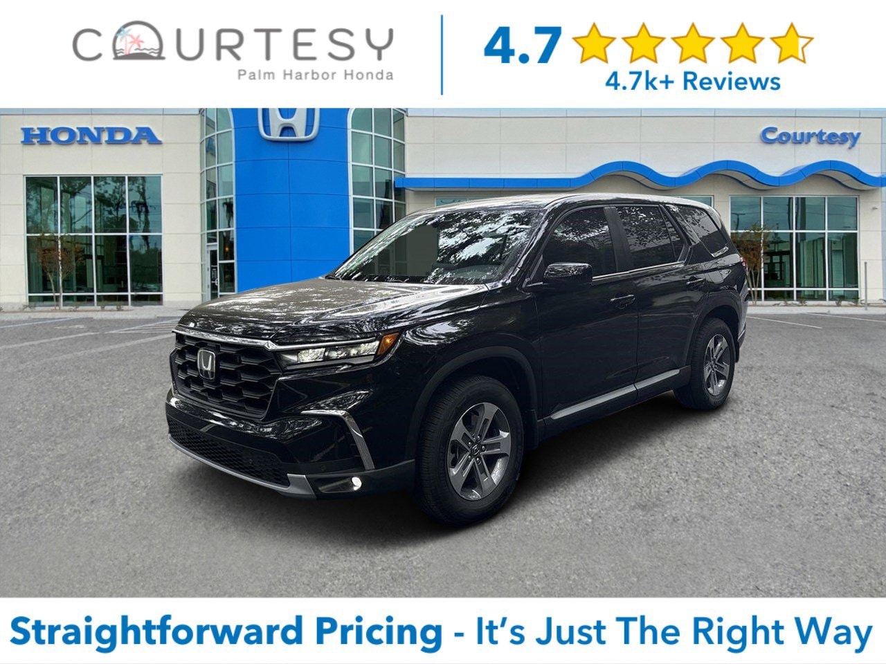 2025 Honda Pilot EX-L's photo