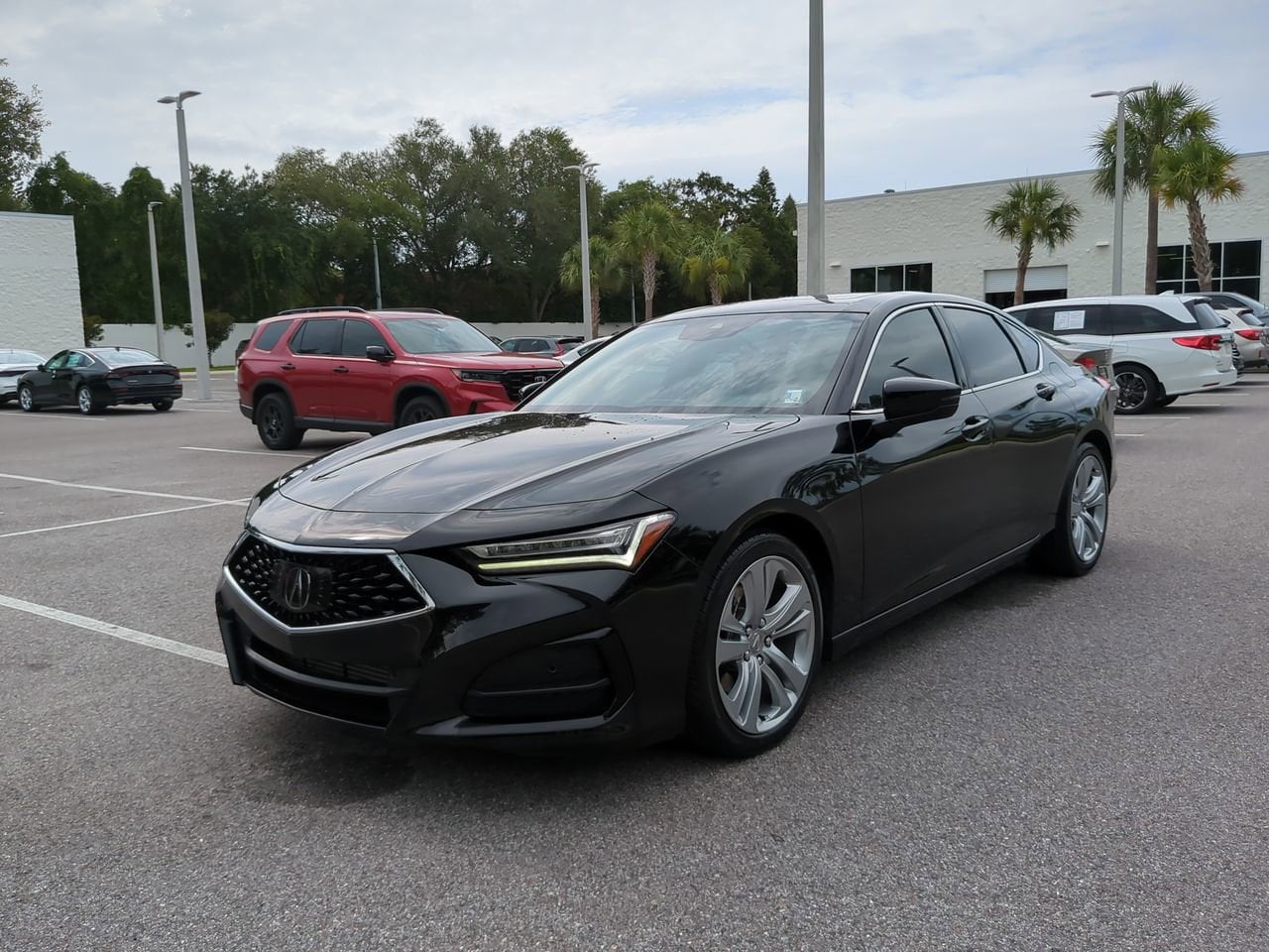 2023 Acura TLX 2.0 Auto Technology Package's photo