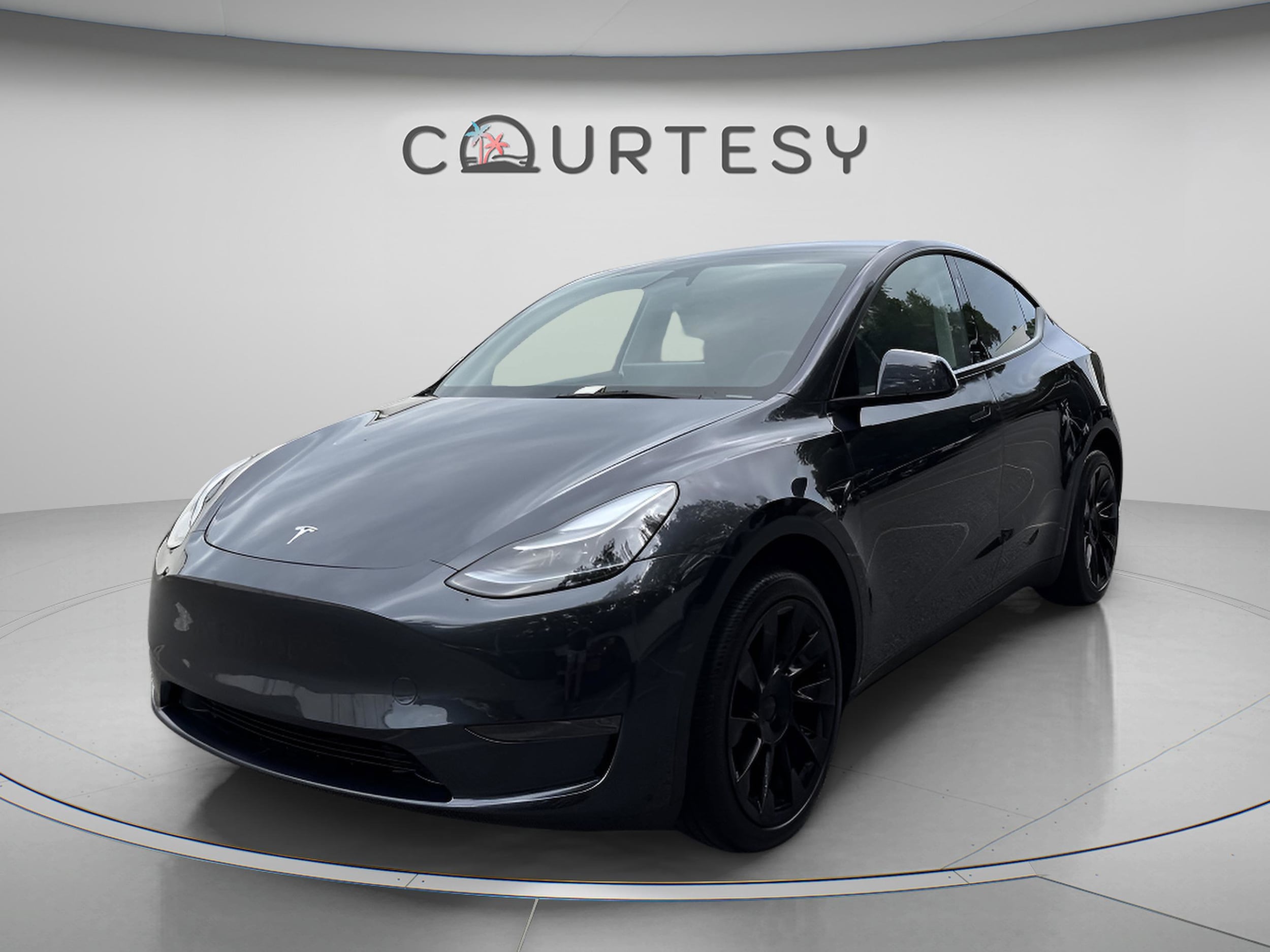 2025 Tesla Model Y Long Range Rear Wheel Drive's photo