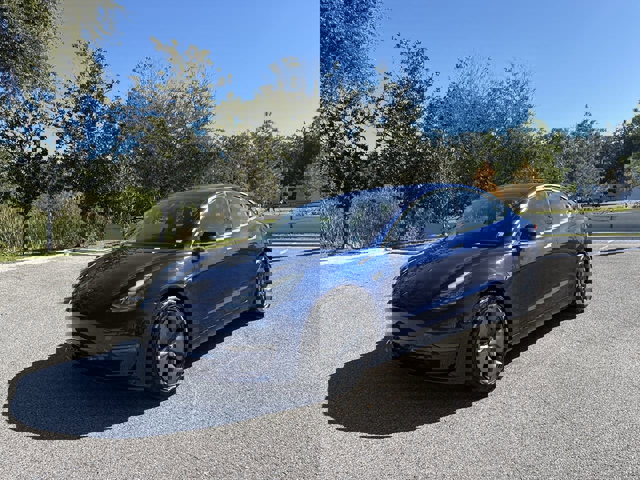 Used 2018 Tesla Model 3 Long Range with VIN 5YJ3E1EA8JF045230 for sale in Palm Harbor, FL