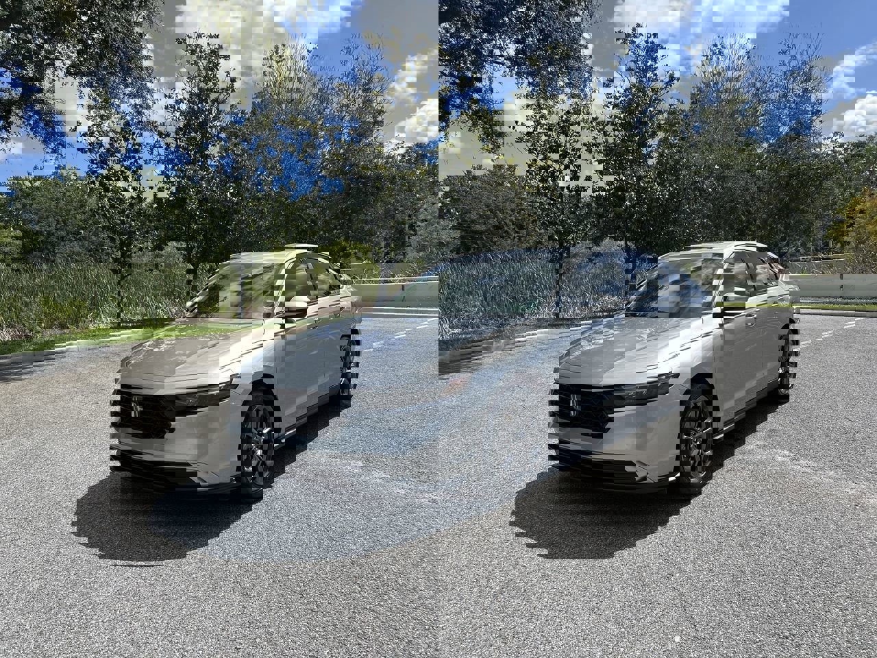 1HGCY1F39PA006169