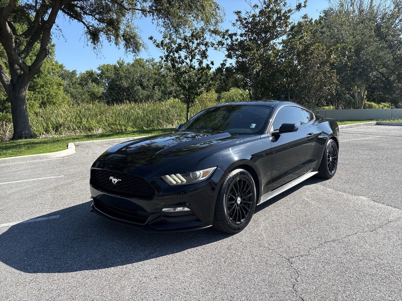 Used 2017 Ford Mustang V6 with VIN 1FA6P8AM4H5319590 for sale in Palm Harbor, FL