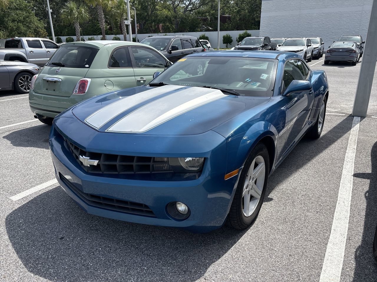 Used 2010 Chevrolet Camaro 1LT with VIN 2G1FF1EVXA9113148 for sale in Palm Harbor, FL