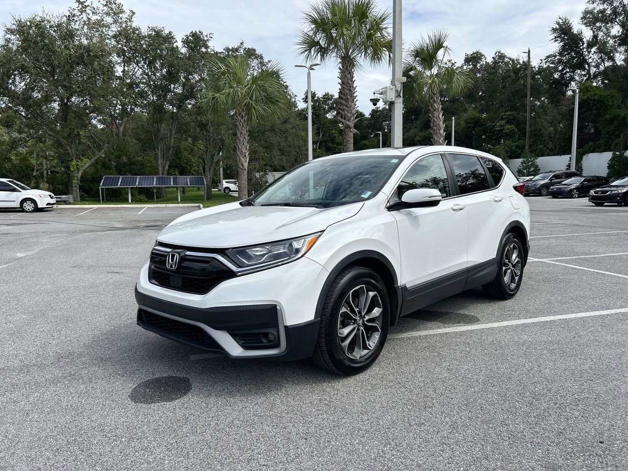 Certified 2021 Honda CR-V EX-L with VIN 5J6RW1H81MA012027 for sale in Palm Harbor, FL