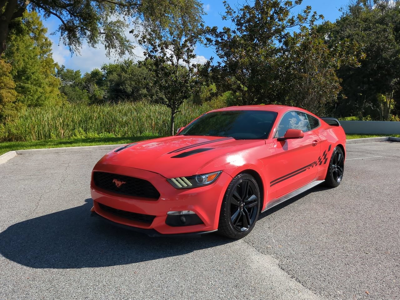 Used 2016 Ford Mustang EcoBoost with VIN 1FA6P8TH5G5251329 for sale in Palm Harbor, FL