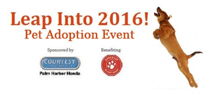 Leap Into 2016 Event.jpg