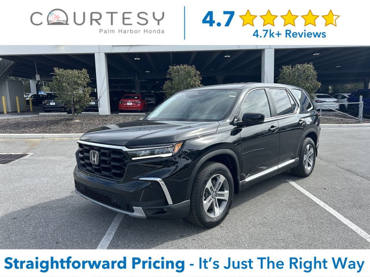 2025 Honda Pilot EX-L's photo