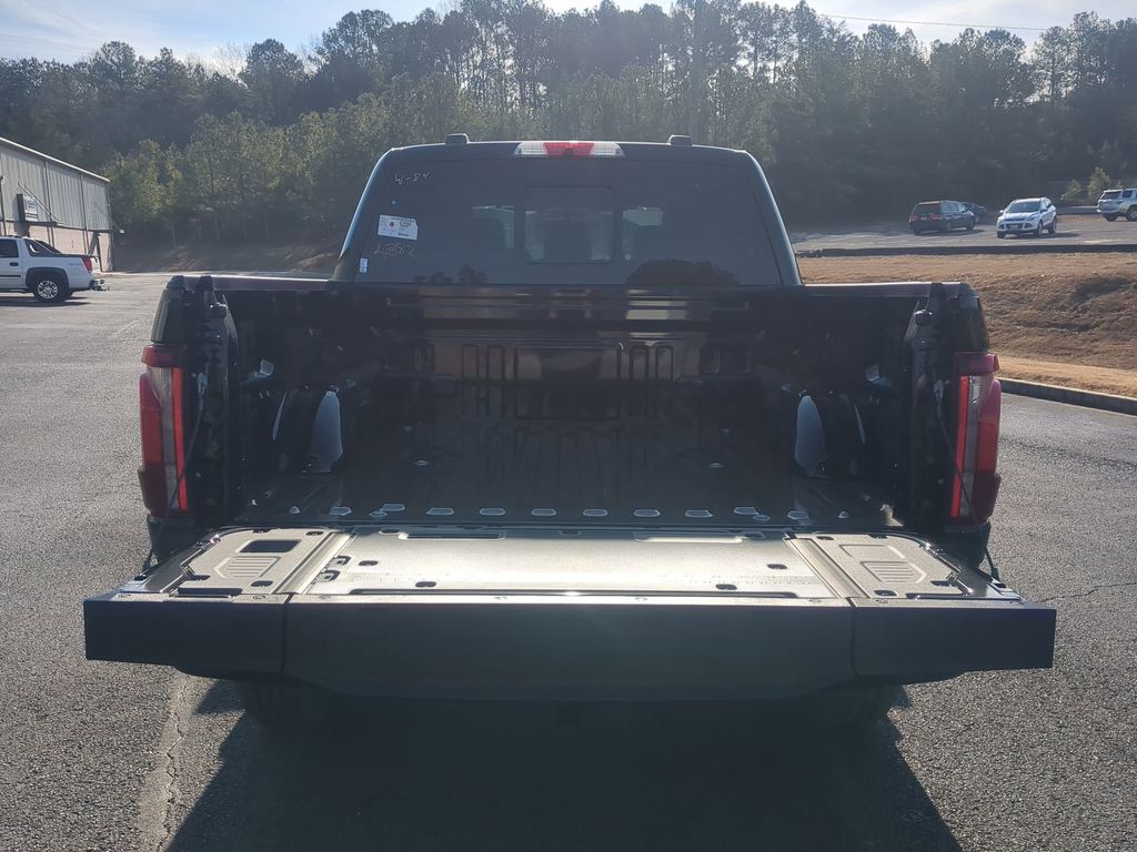 2025 Ford F-150 Platinum - Photo 15