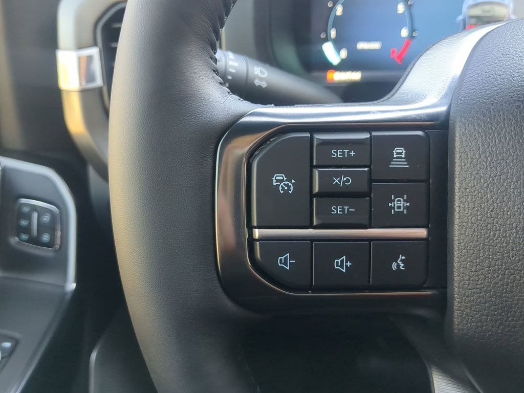 2025 Ford F-150 Platinum - Photo 29