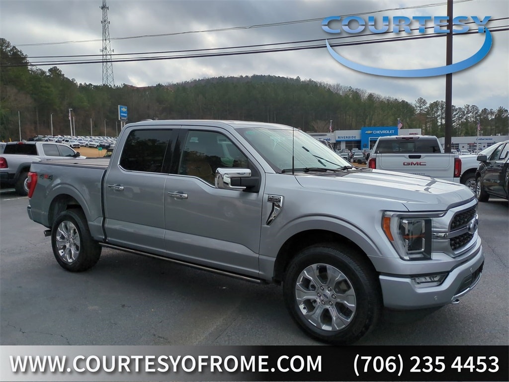 2023 Ford F-150 Platinum's photo
