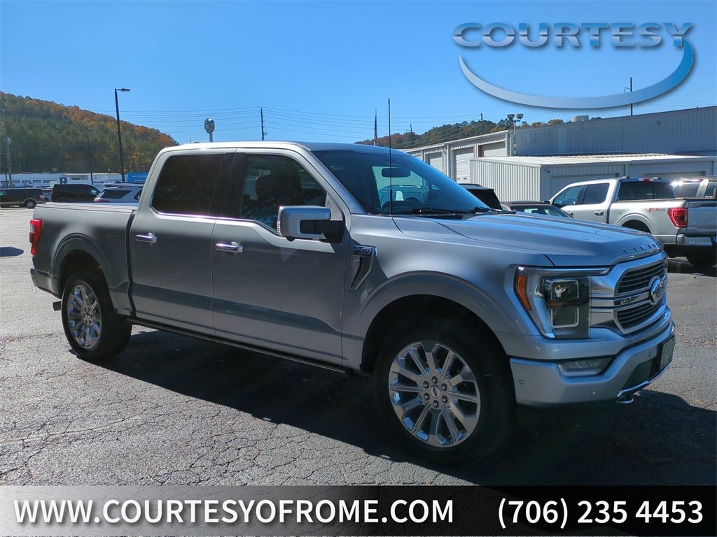 2021 Ford F-150 Limited's photo