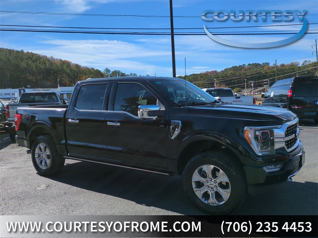 2023 Ford F-150 Platinum's photo