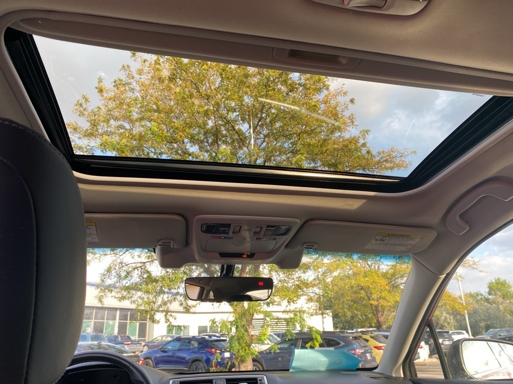 View 20