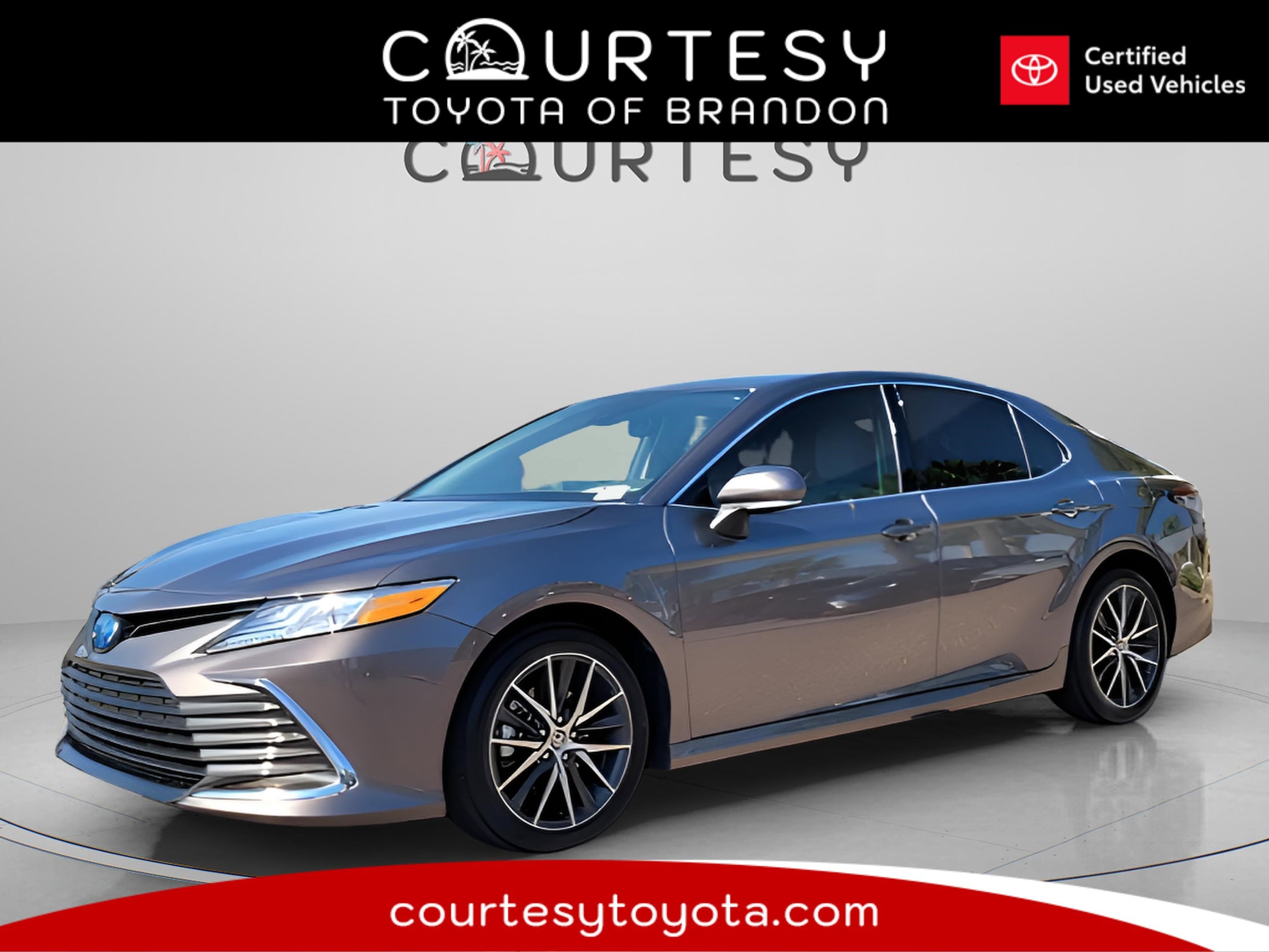 2024 Toyota Camry XLE's photo