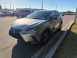 LEXUS NX 300